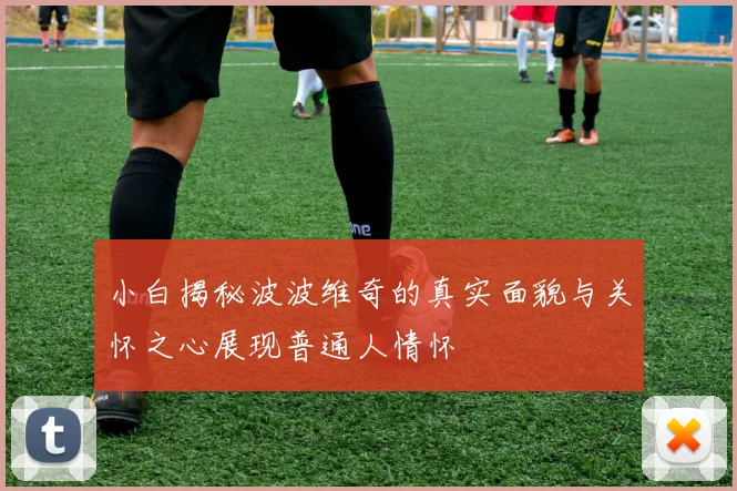 小白揭秘波波维奇的真实面貌与关怀之心展现普通人情怀